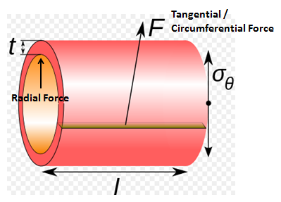 Thick Cylinder Typical Radial and Circumferential Forces